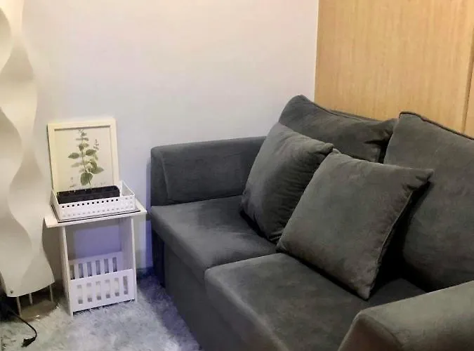 The Grass Residences Condominium Fully Furnished 1br Aparthotel Manila