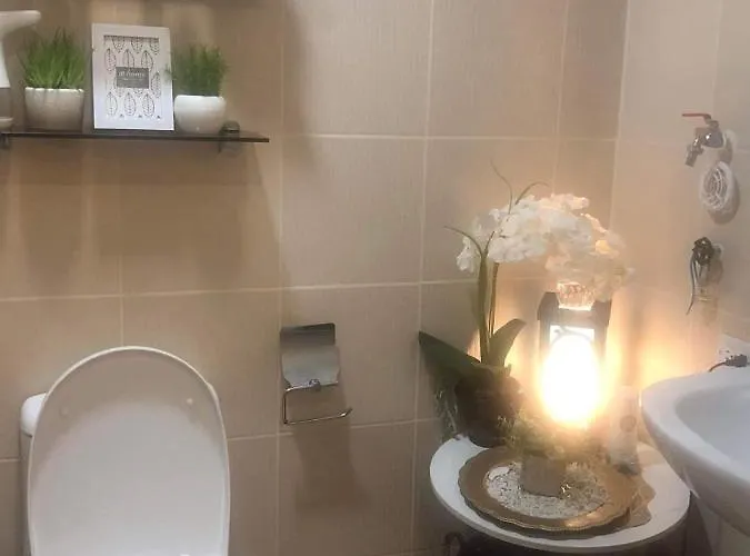 The Grass Residences Condominium Fully Furnished 1br